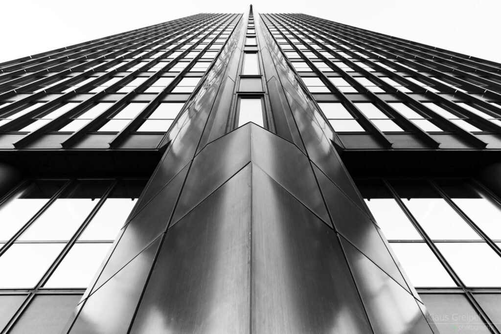_MG_0485