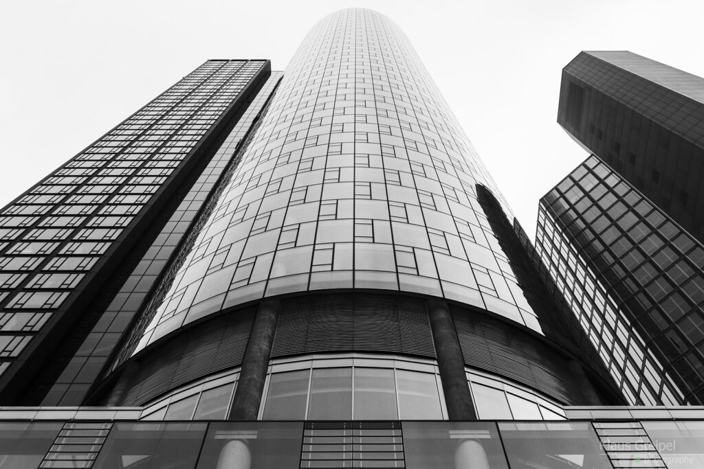 _MG_1303